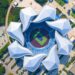 The world’s 10 best-designed sports stadiums
